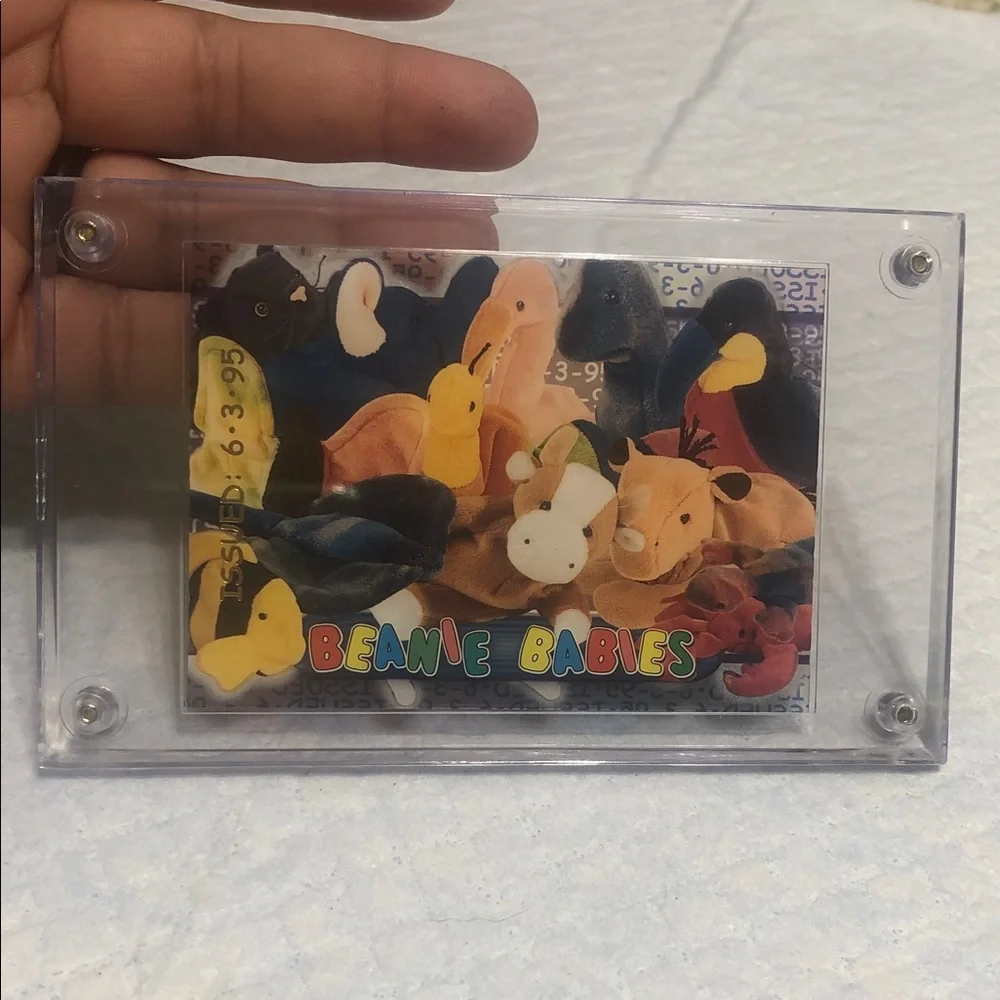 Ty Beanie Babies Collector Display Card - Multicolored Plush Characters